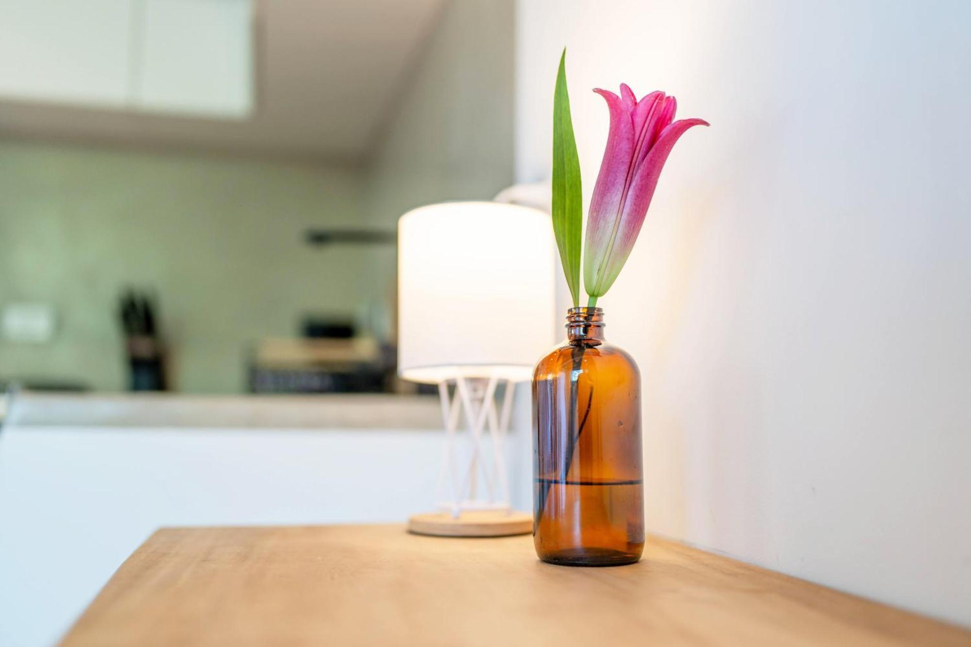 Alma Tropical - Luxury Villa Experience In Santa Teresa Playa Santa Teresa  Екстериор снимка